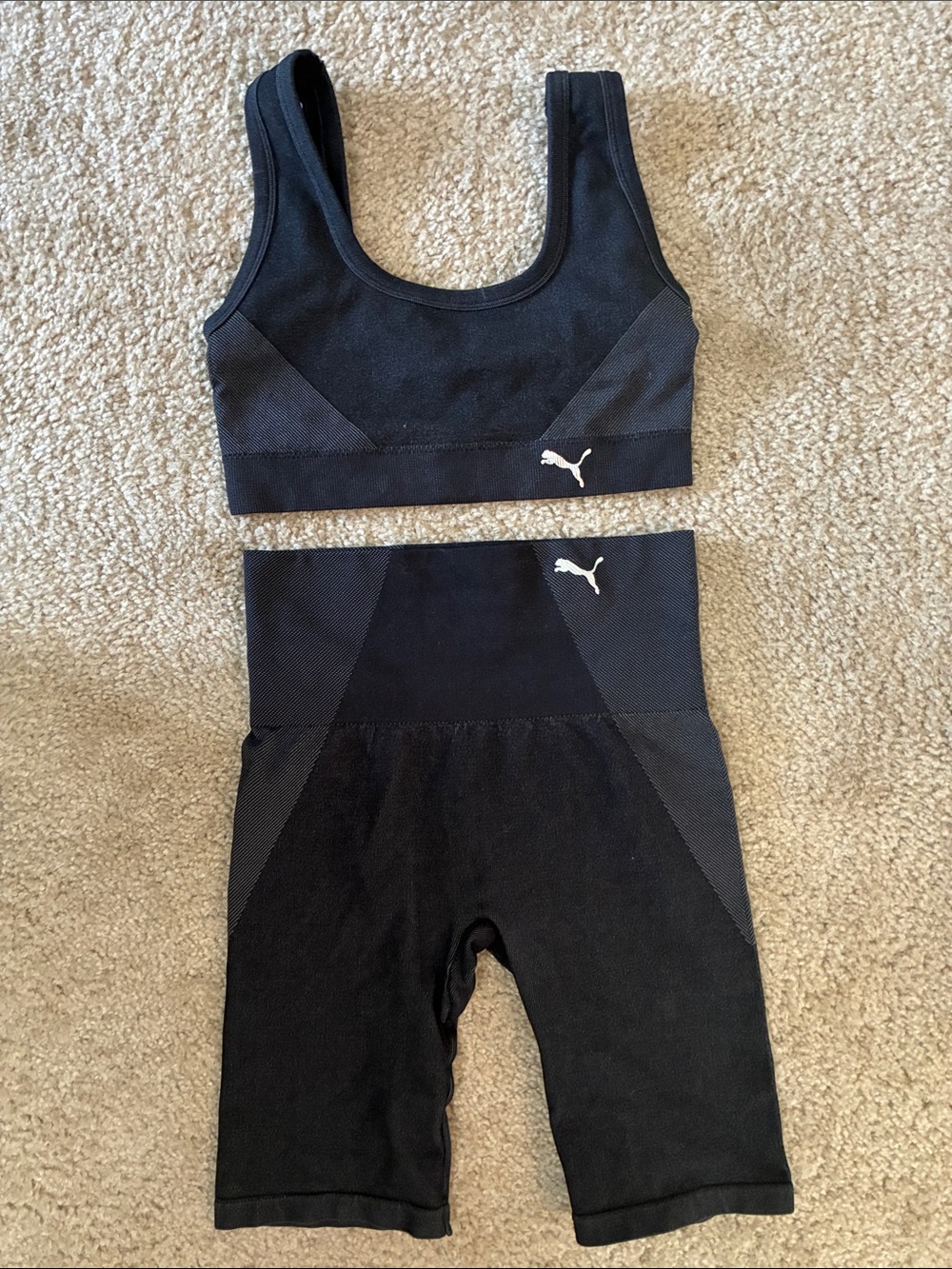 Puma Black Seamless Crop Sports Bra and High-Waist Bike Shorts